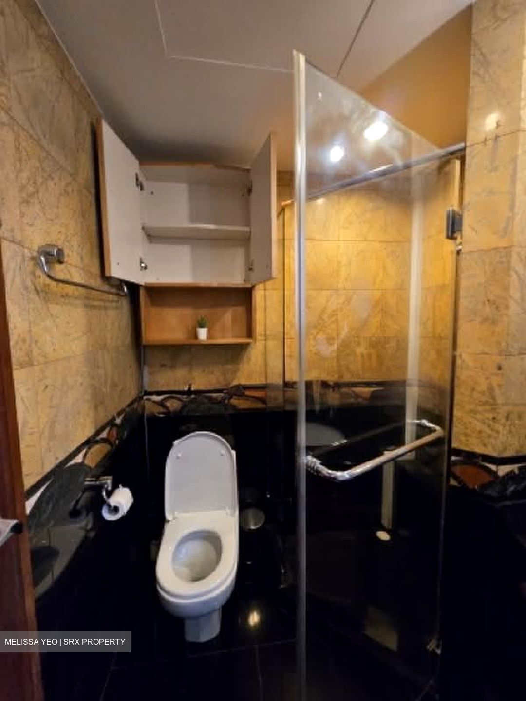 River Place (D3), Condominium #575454641